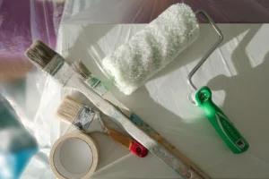 jcr peinture pays basque et dans les landes